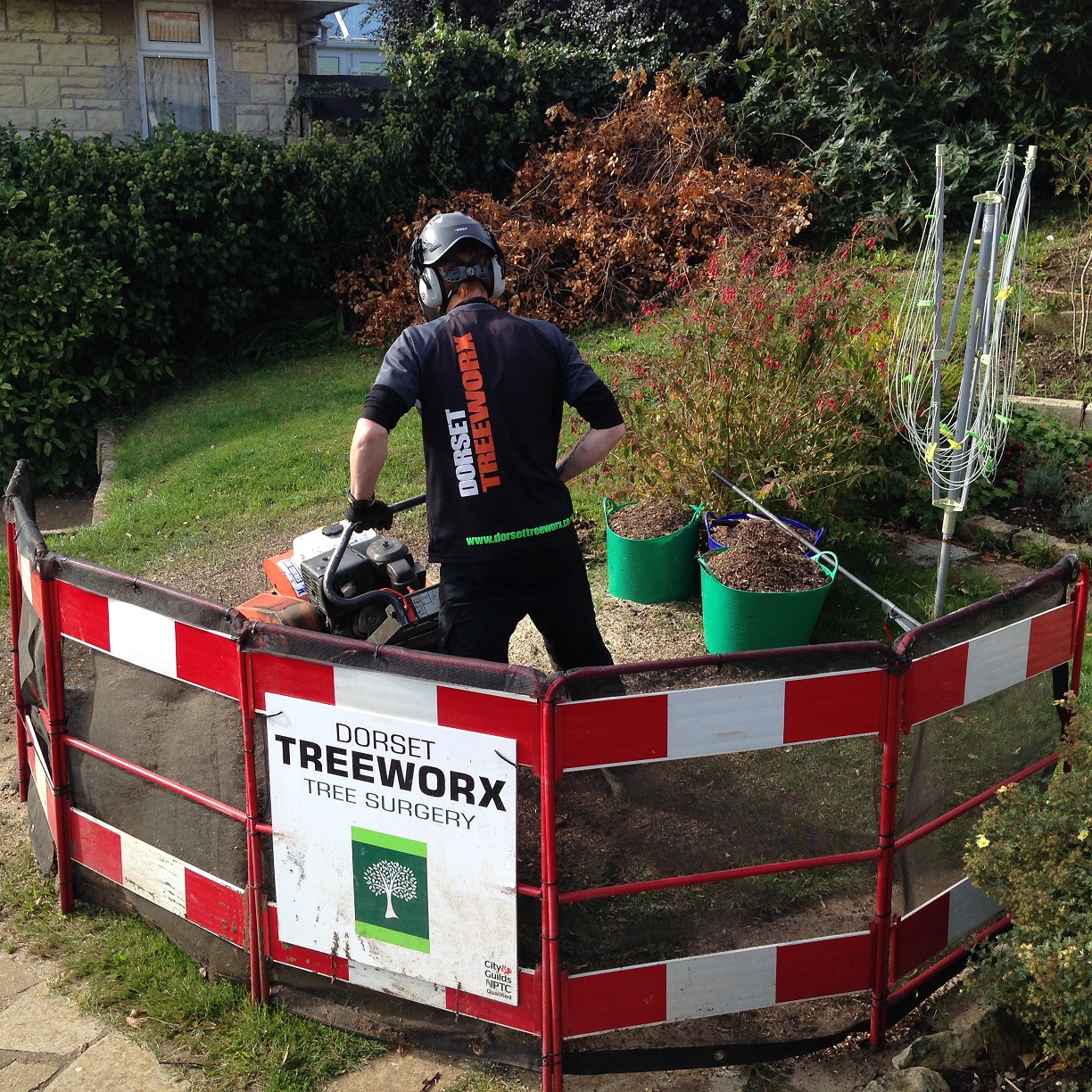 Stump Removal Grinding - Weymouth tree surgeon