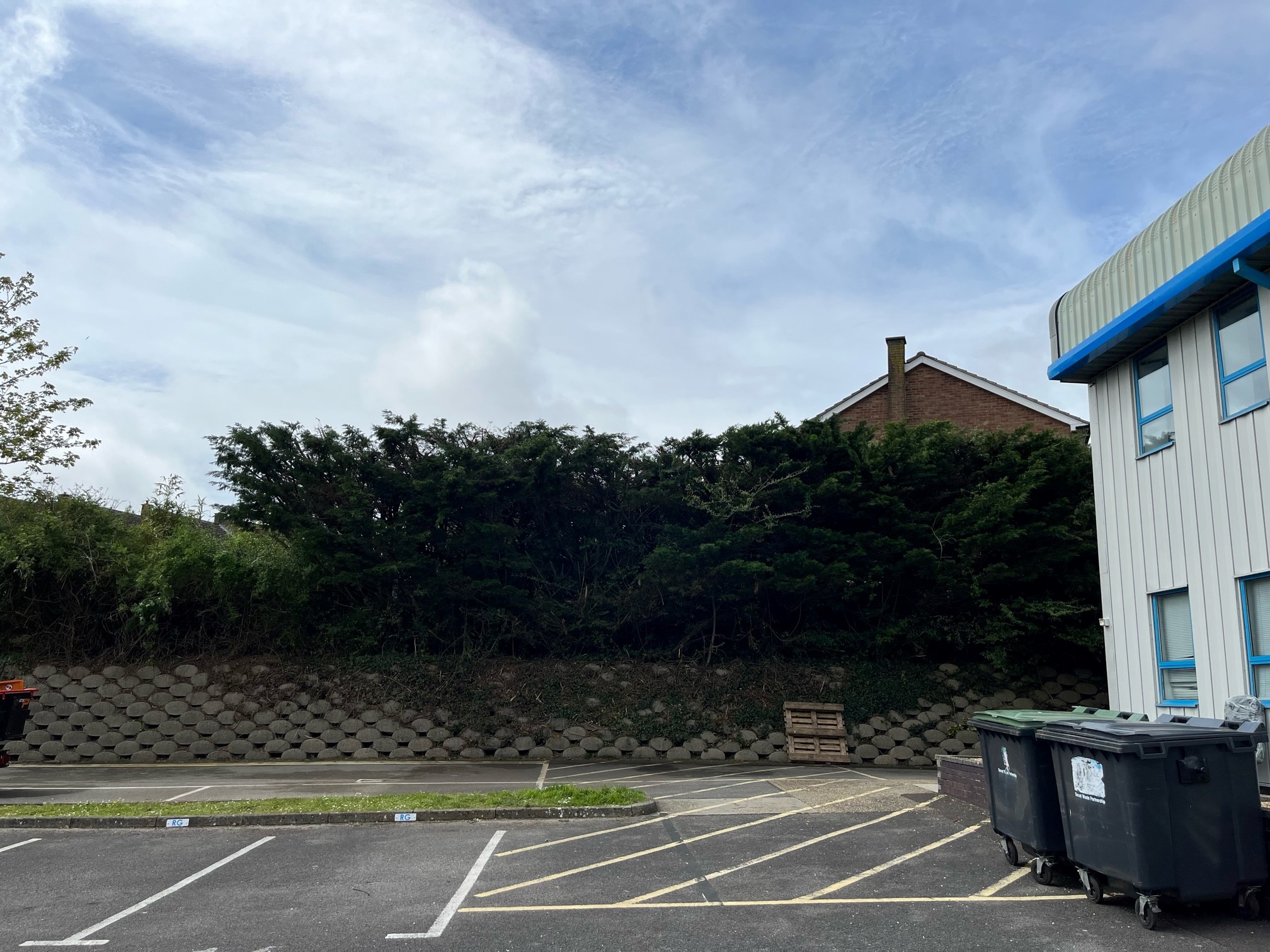 Hedge Reduction Service in Weymouth, Dorchester, Portland, Dorset