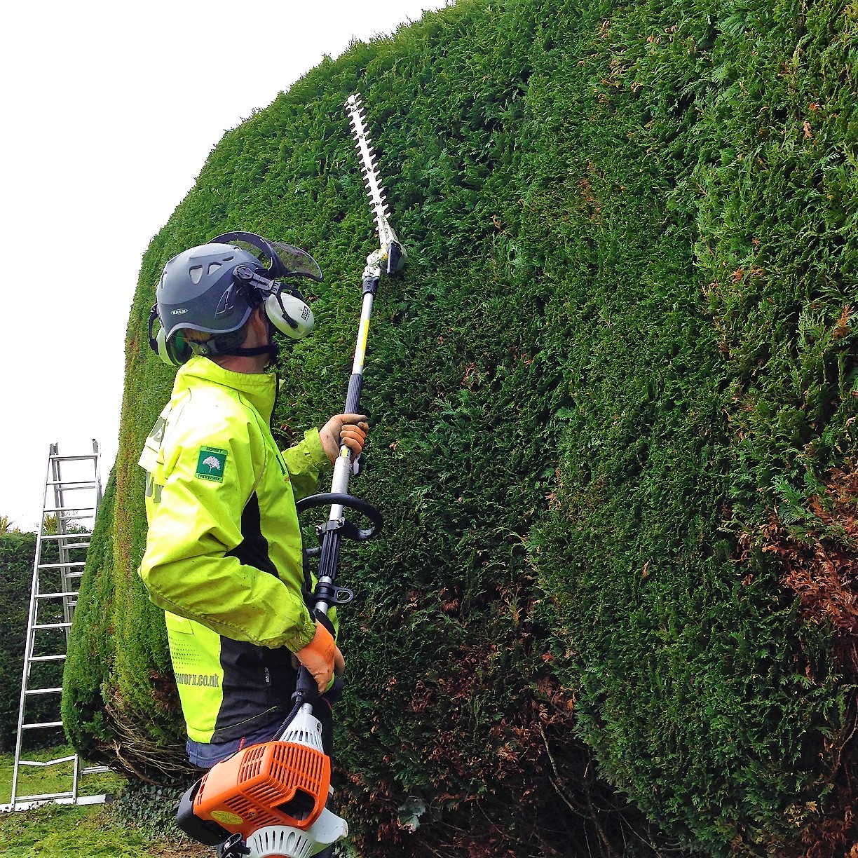 Hedge trimming service in Weymouth, Dorchester, Portland