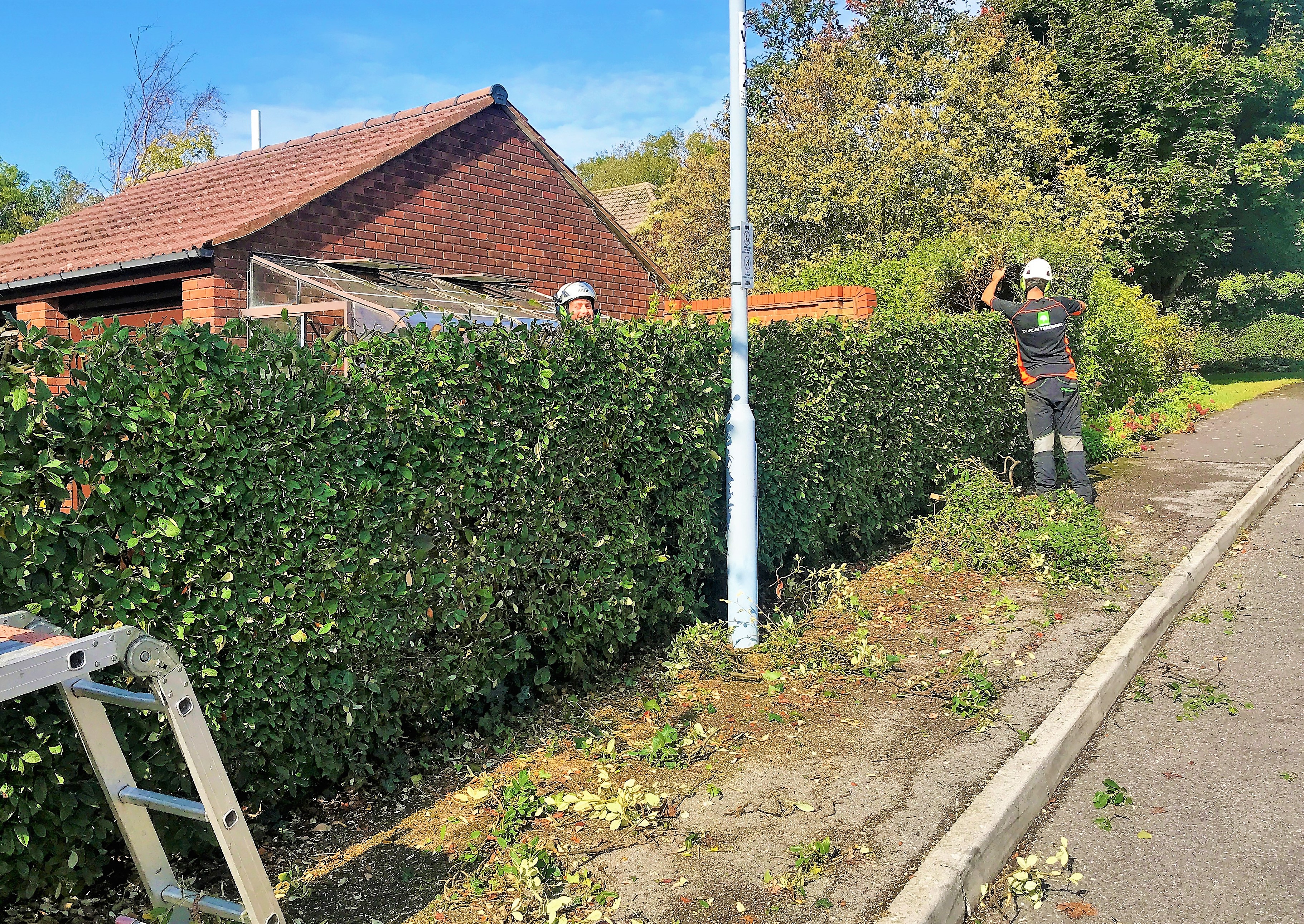 Weymouth Hedge Trimming, Hedge Removal, Hedge Cutting in Weymouth, Dorchester, Portland - Weymouth tree surgeon