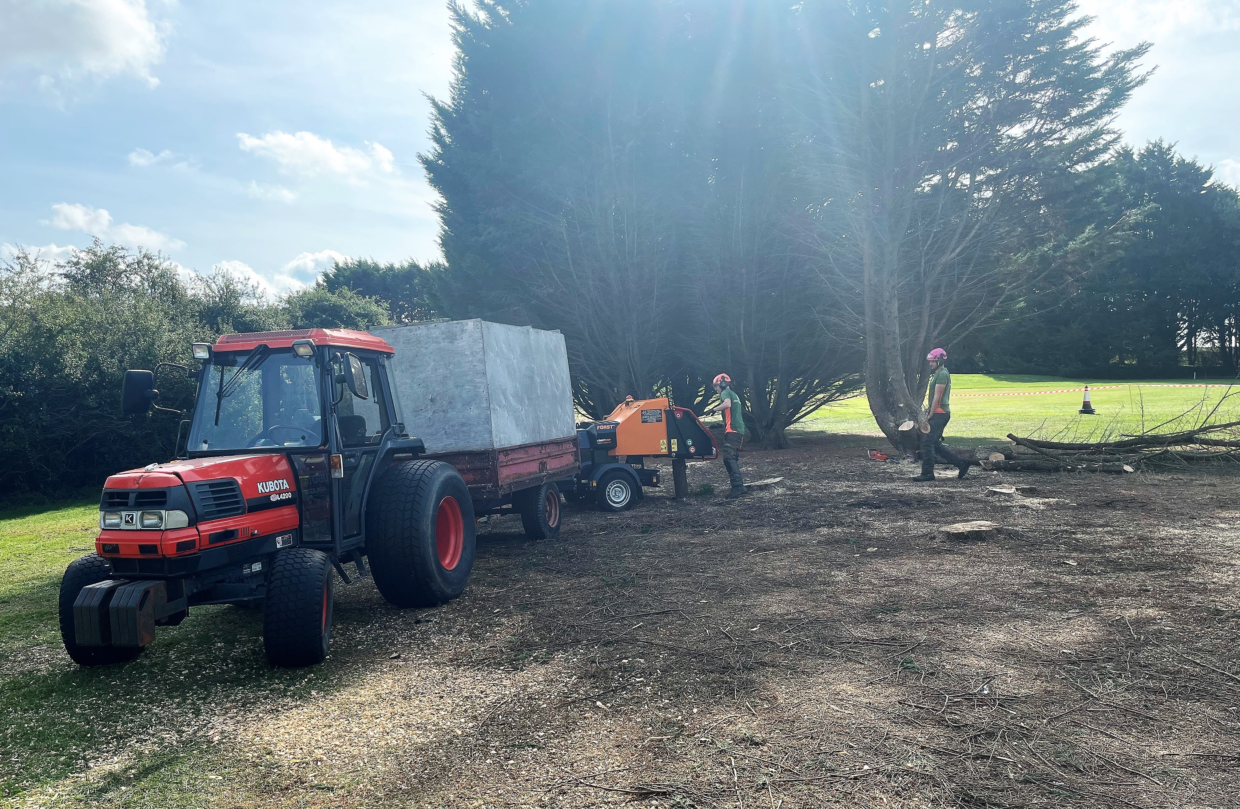 Weymouth tree surgeon | Tree service, tree surgery, tree care, tree removal, hedge trimming, hedge cutting, hedge removal, tree trimming, tree cutting, tree felling, tree stump grinding, hedge trimming, hedge removal in Weymouth, Dorchester, Portland, Dorset. Tree surgeons putting tree branches into a chipper while removing a tree.