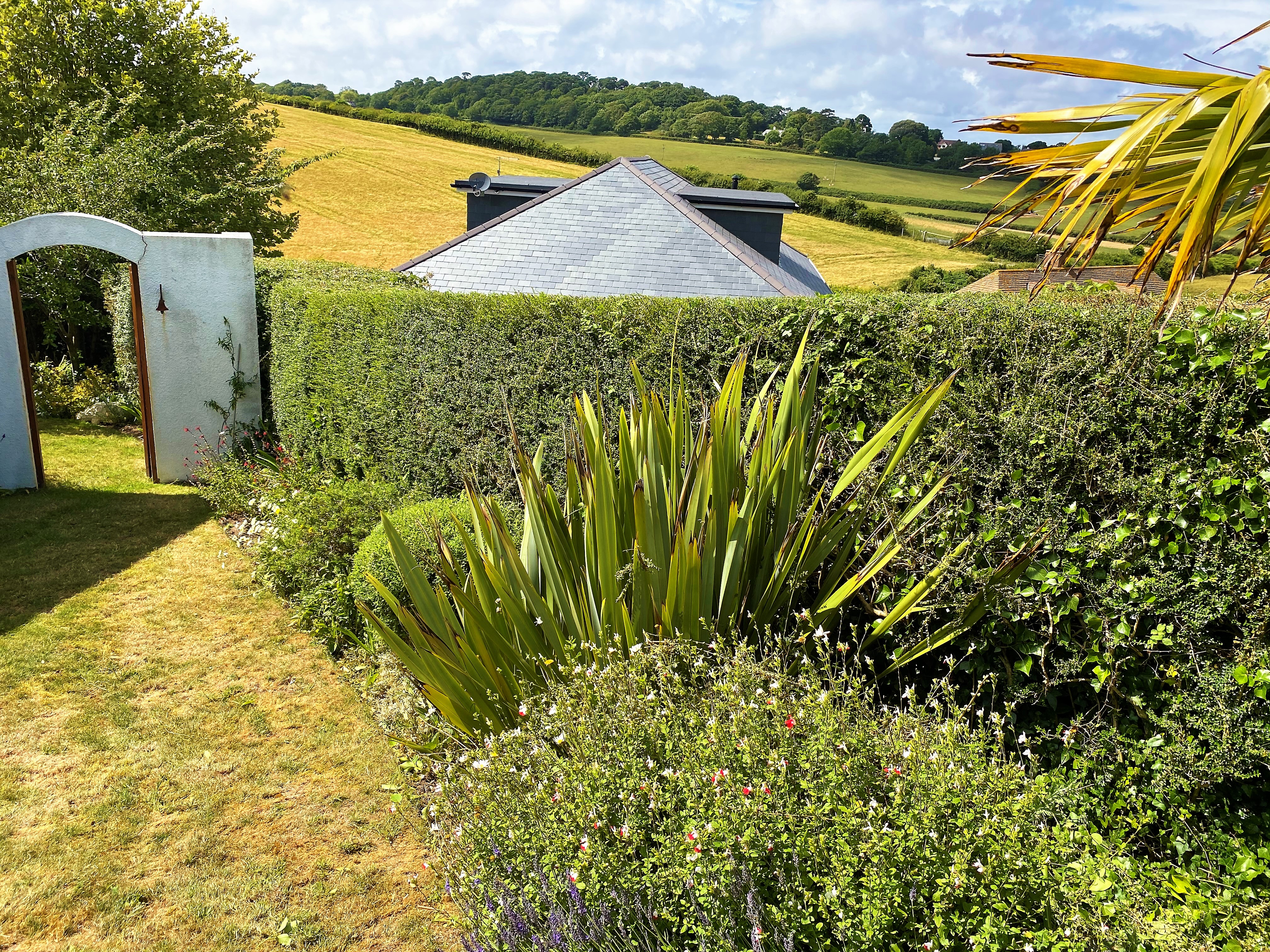 Hedge Removal in Weymouth, Dorchester, Portland, Dorset