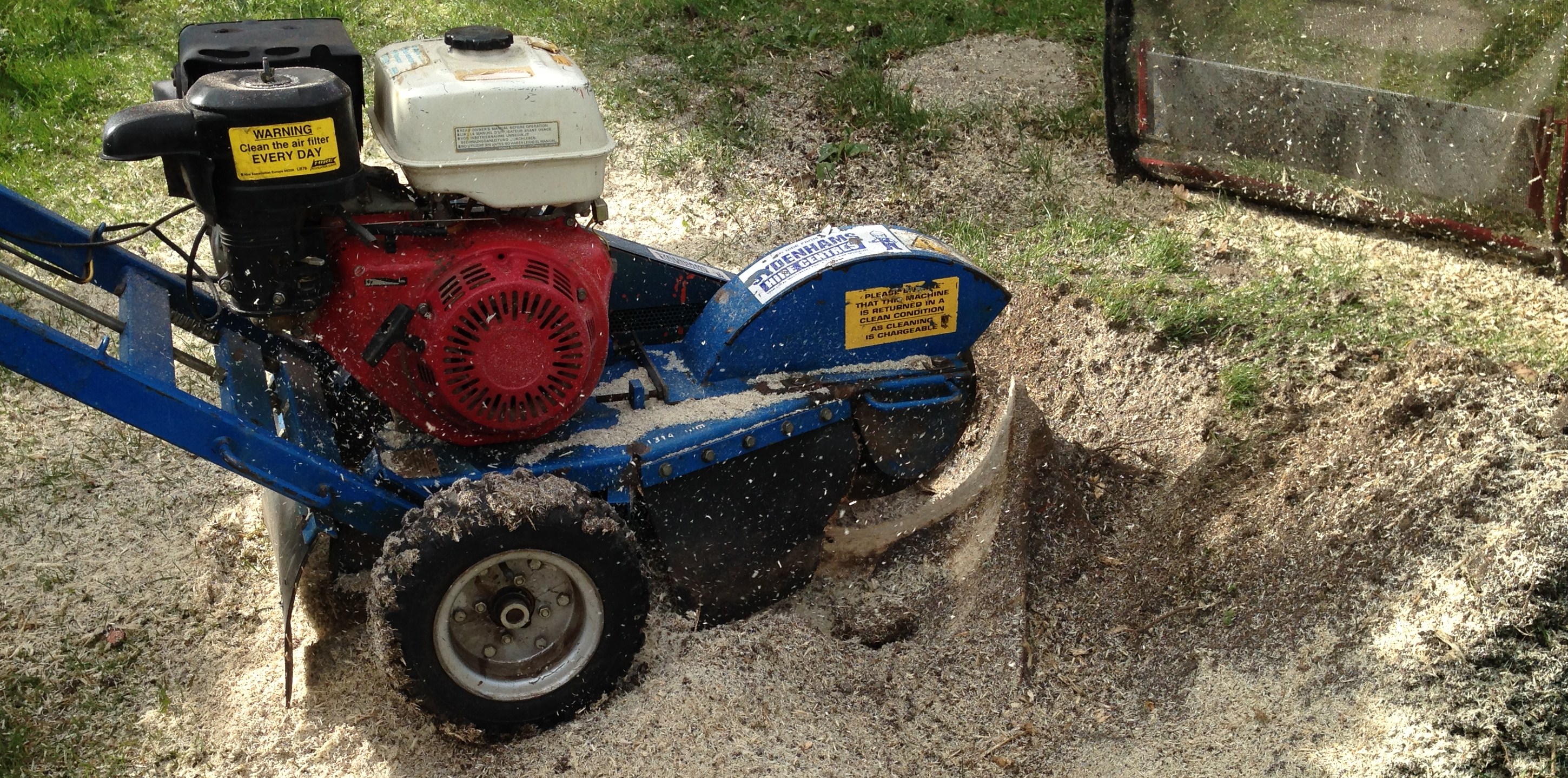 Stump Grinding in Weymouth, Portland, Dorchester - stump grinder removing a stump after tree was felled