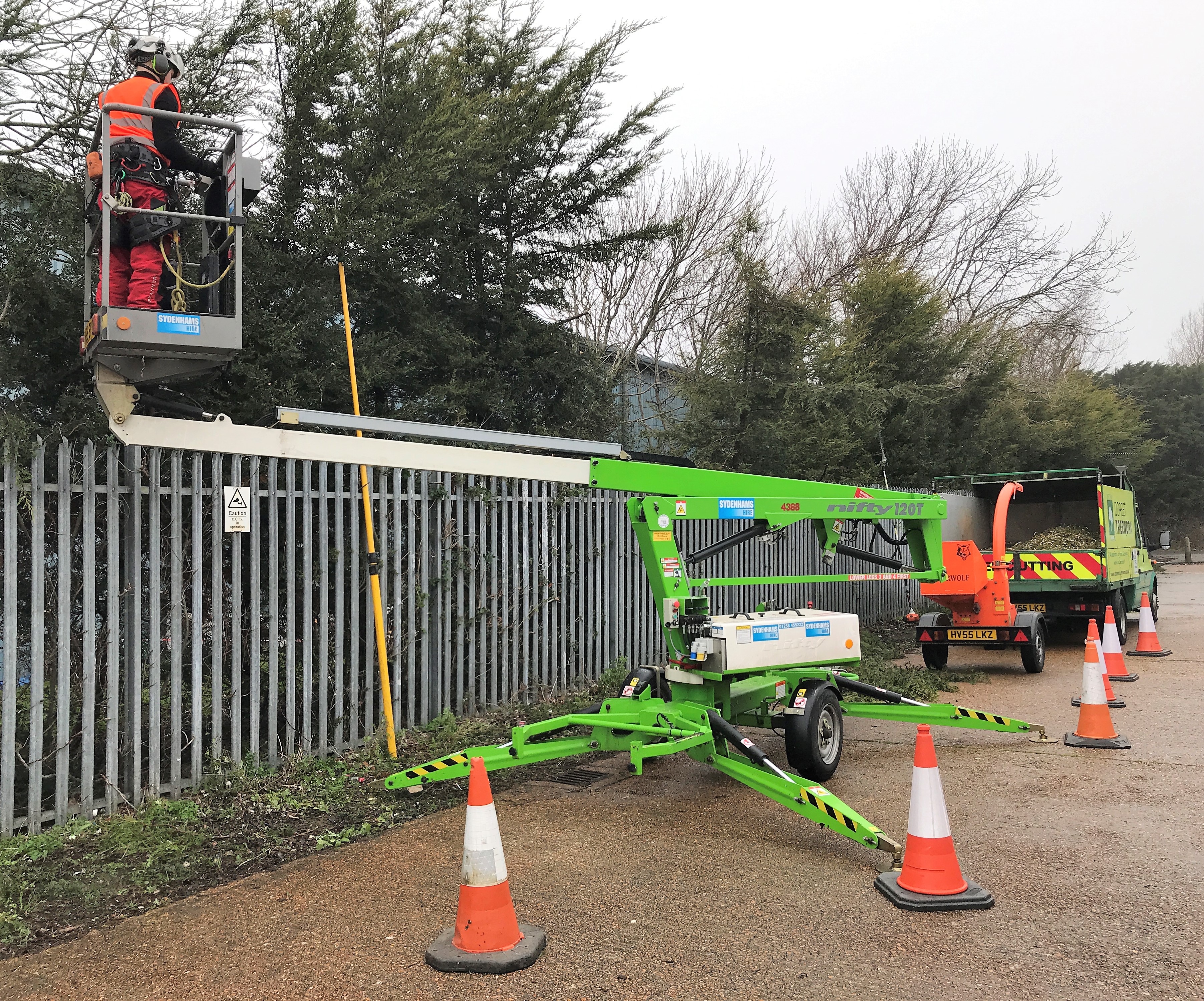 Weymouth Tree Surgeon | Hedge Trimming Garden Hedge Removal, Commercial Hedge Reduction Service