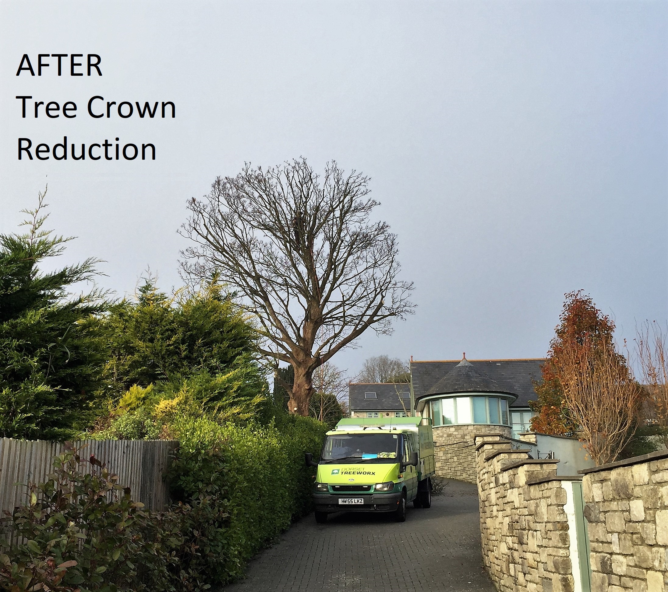 Tree Surgery & Hedge Trimming in Weymouth, Dorchester, Portland, UK