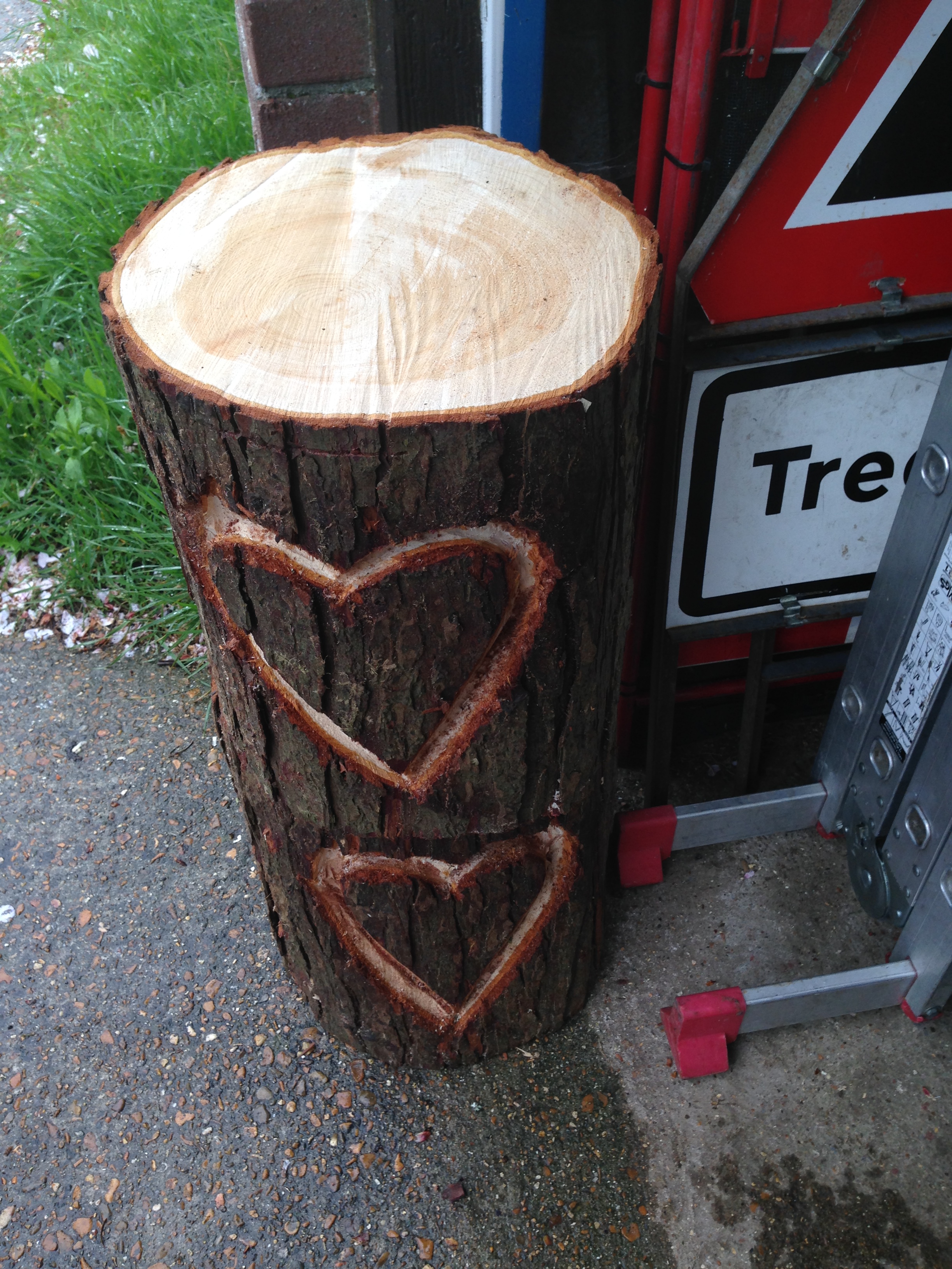 Tree Stump Grinding in Weymouth, Portland, Dorchester - photo of logs with hearts