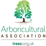 Weymouth tree surgeon - AA member