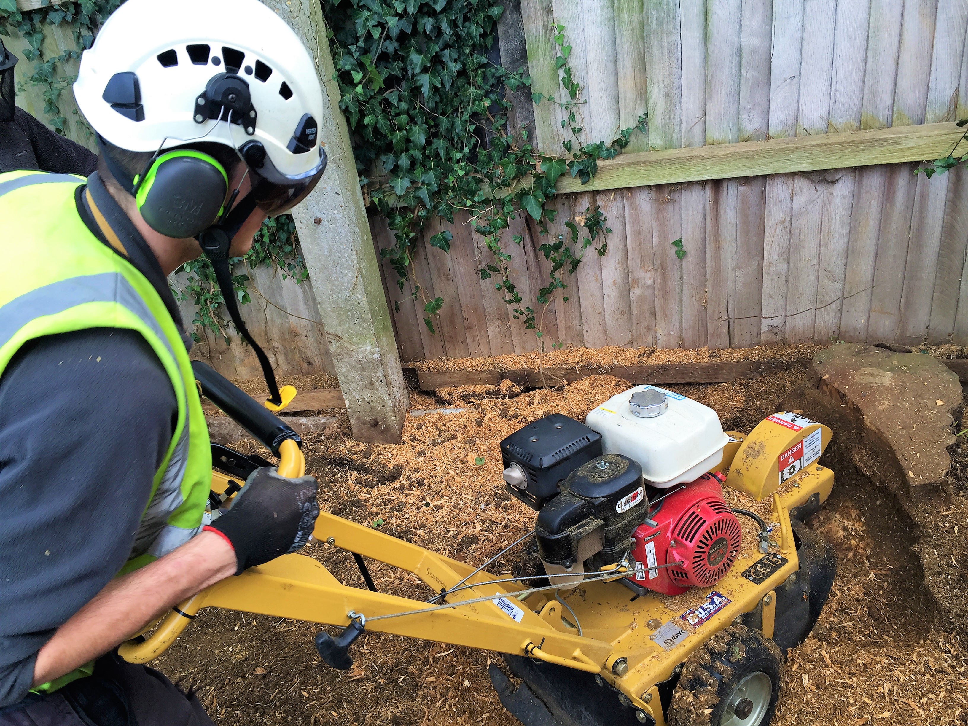 Tree Stump Grinding Removal in Weymouth