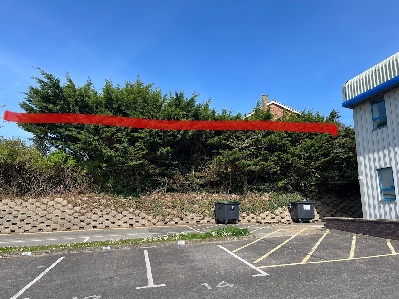 Hedge reduction in height service in Weymouth, Dorchester, Portland, Dorset