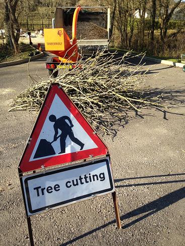 Weymouth tree surgeon - Health & Safety in commercial tree work in Weymouth, Dorchester, Portland, Dorset