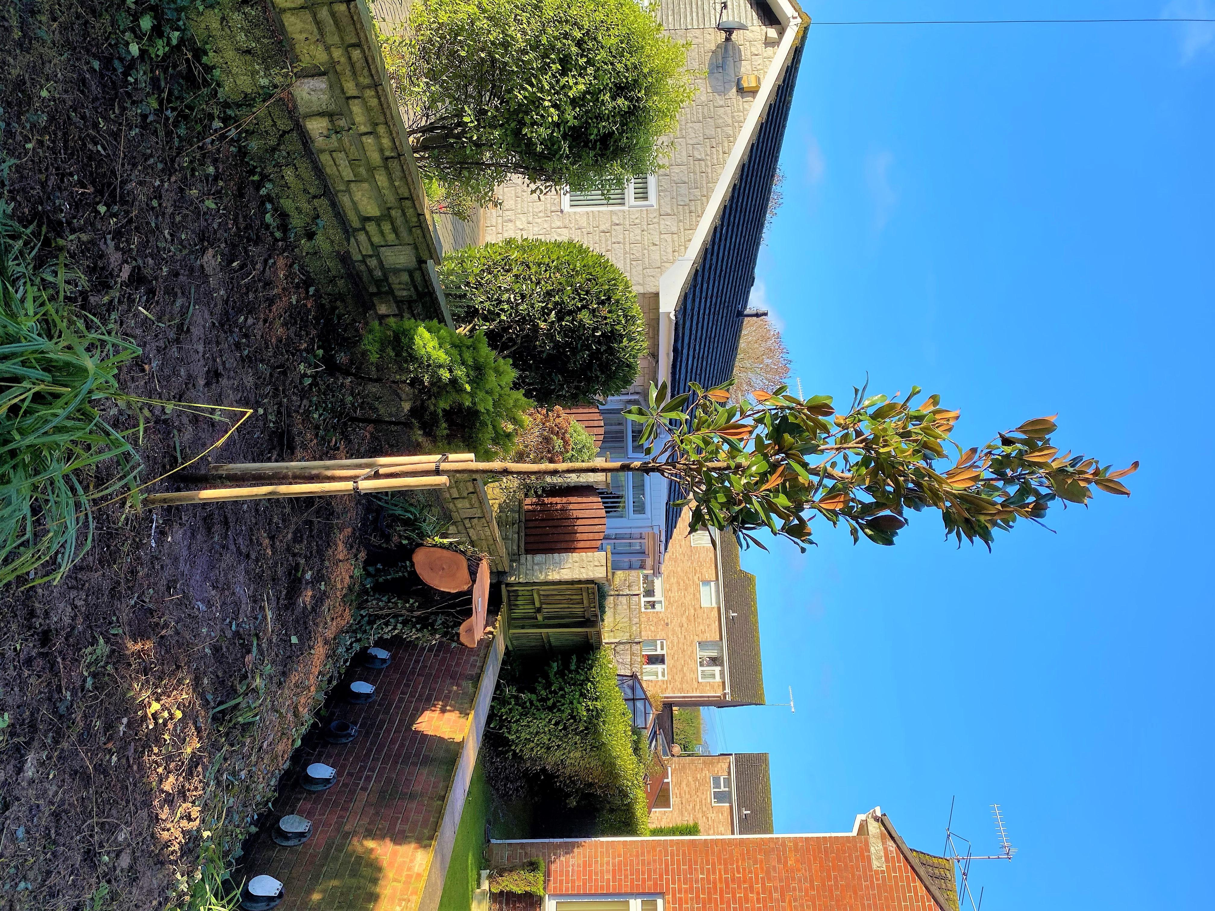 Tree and hedge planting in Weymouth, Dorchester, Portland, Dorset - Weymouth tree surgeon - Plant a tree