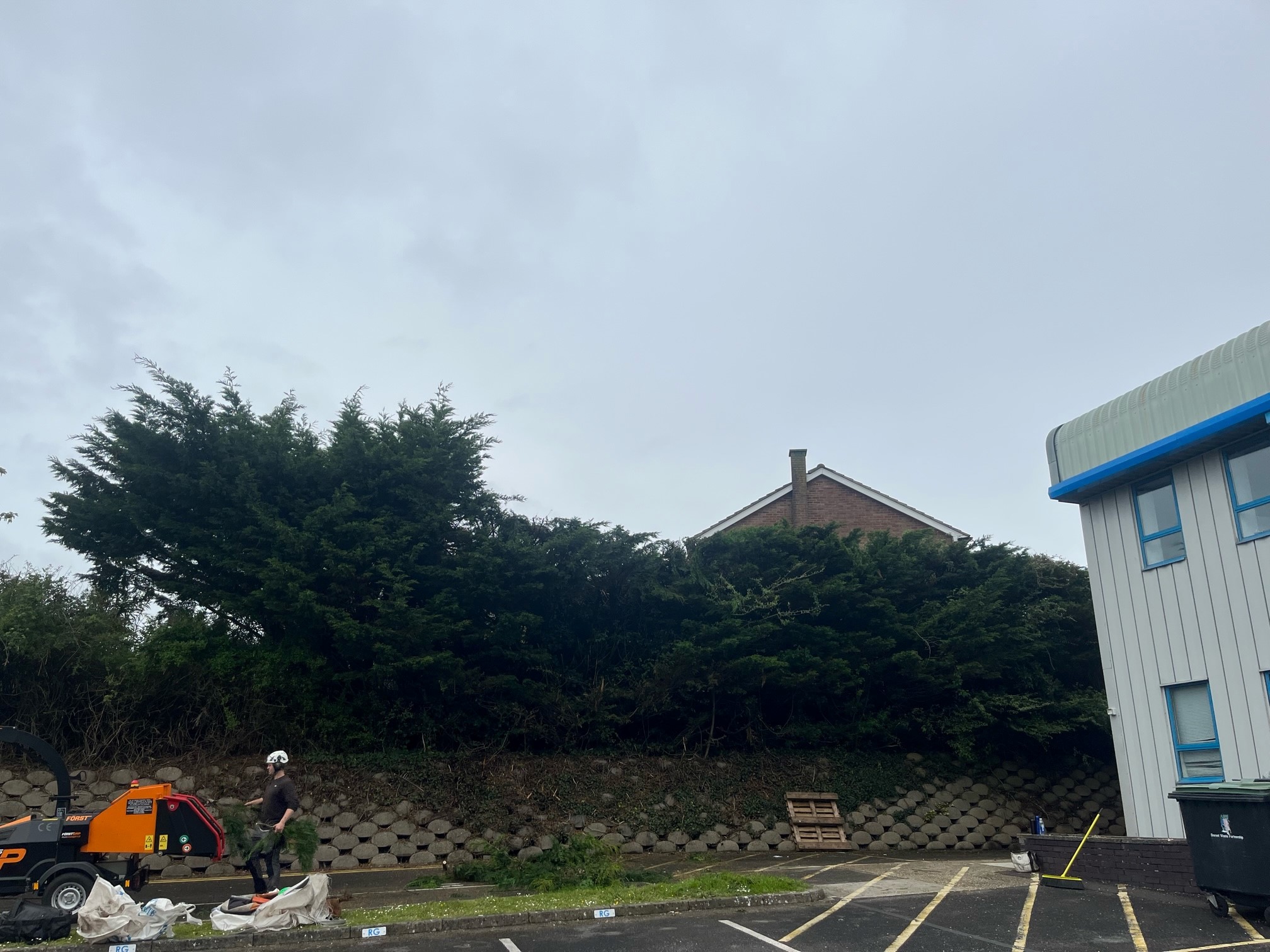 Hedge reduction maintenance in Weymouth, Dorchester, Portland Dorset