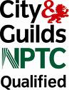 Weymouth tree surgeon | NPTC Qualified team