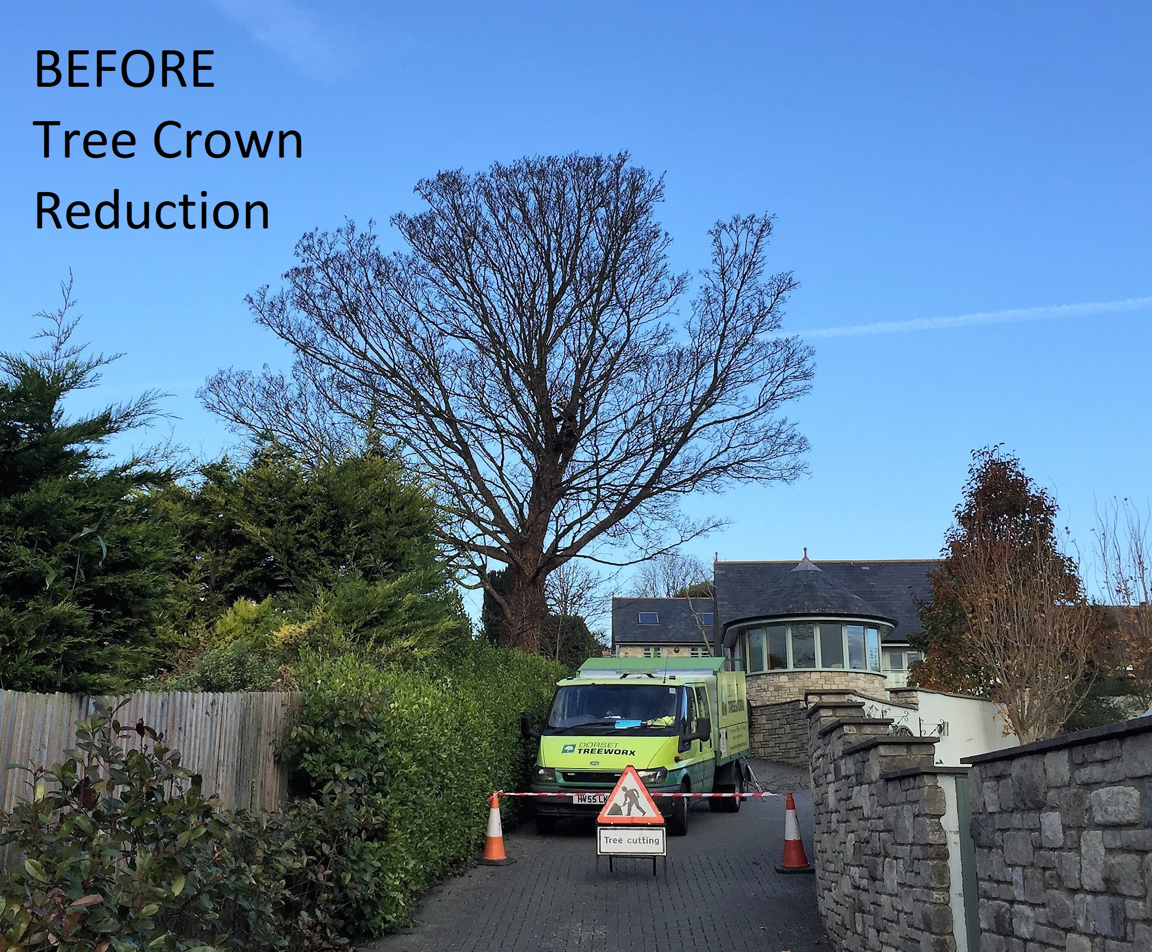 Tree Surgery & Hedge Trimming in Weymouth, Dorchester, Portland, UK