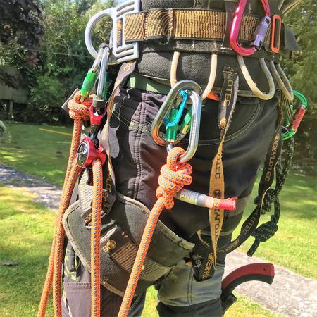 Weymouth Tree Surgeon - Emergency Tree Surgery, Hedge, trimming, reduction, removal and stump grinding.