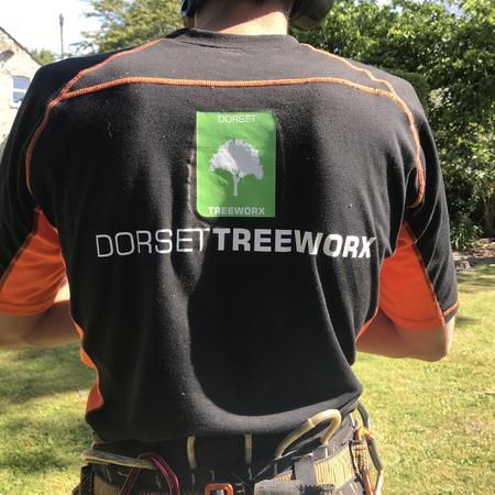 Weymouth Tree Surgeon - Emergency Tree Surgery, Hedge, trimming, reduction, removal and stump grinding - arborist wears with logo.