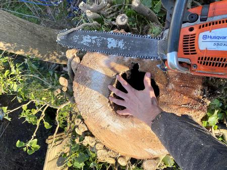 Weymouth Tree Surgeon - Emergency Tree Surgery, Hedge, trimming, reduction, removal and stump grinding service in Weymouth, Dorchester, Portland, Dorset
